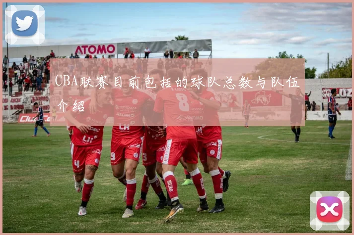 CBA联赛目前包括的球队总数与队伍介绍