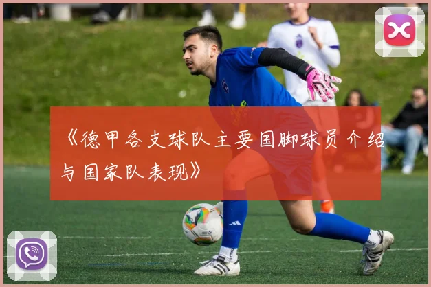 《德甲各支球队主要国脚球员介绍与国家队表现》