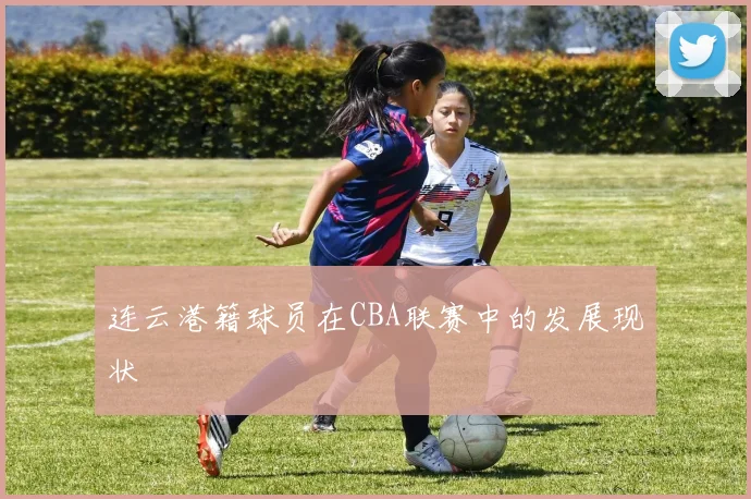 连云港籍球员在CBA联赛中的发展现状