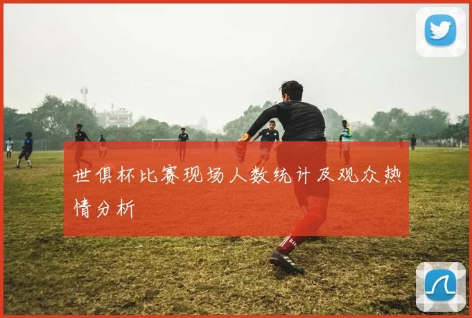 世俱杯比赛现场人数统计及观众热情分析