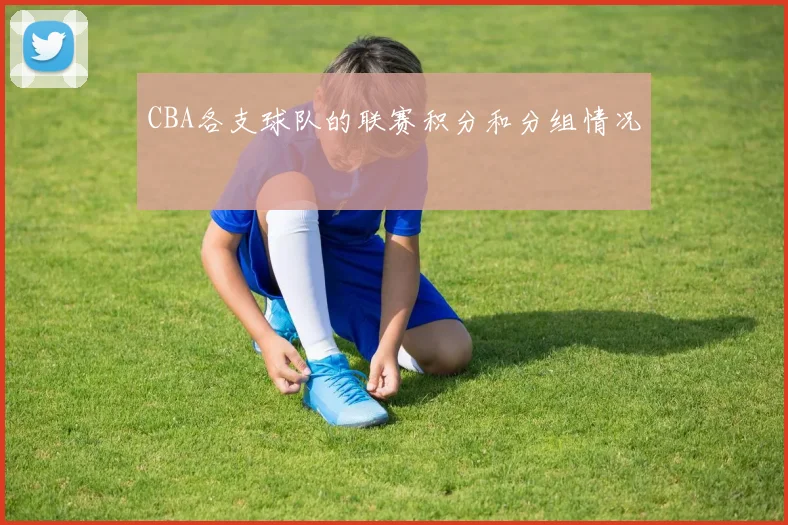 CBA各支球队的联赛积分和分组情况